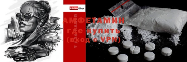 гашик Алексин