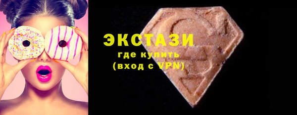 гашик Алексин