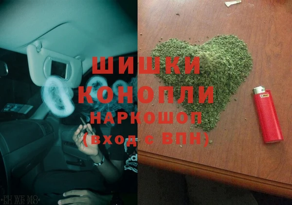 гашик Алексин
