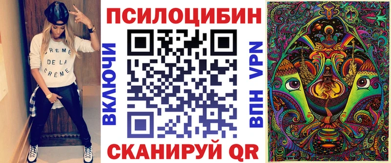 Галлюциногенные грибы Psilocybe Курлово